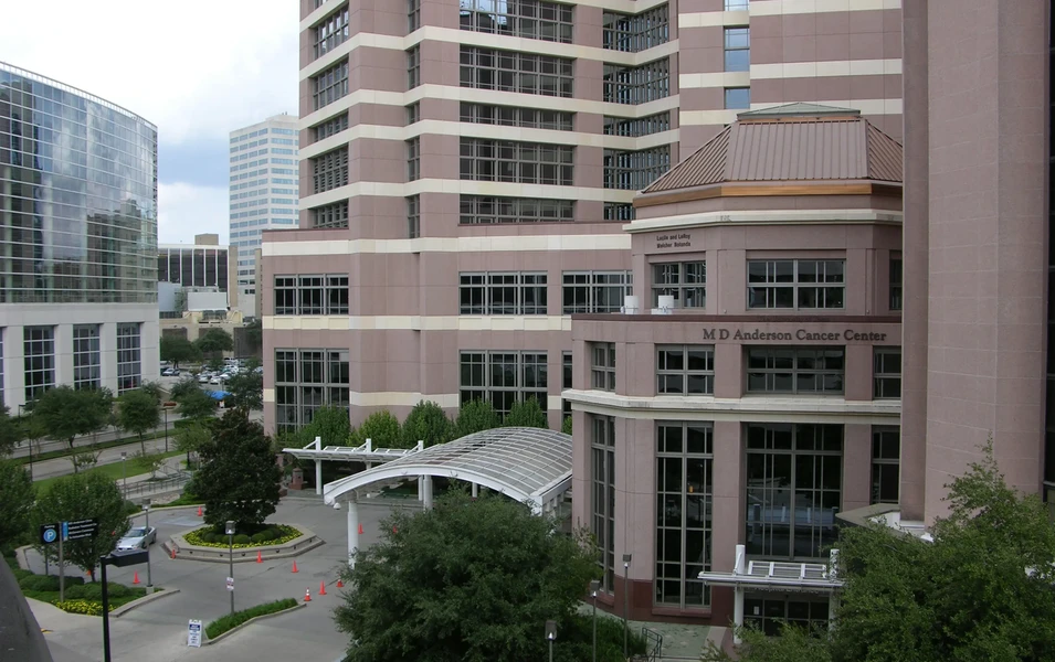 MD Anderson tests psilocybin therapy to ease cancer distress