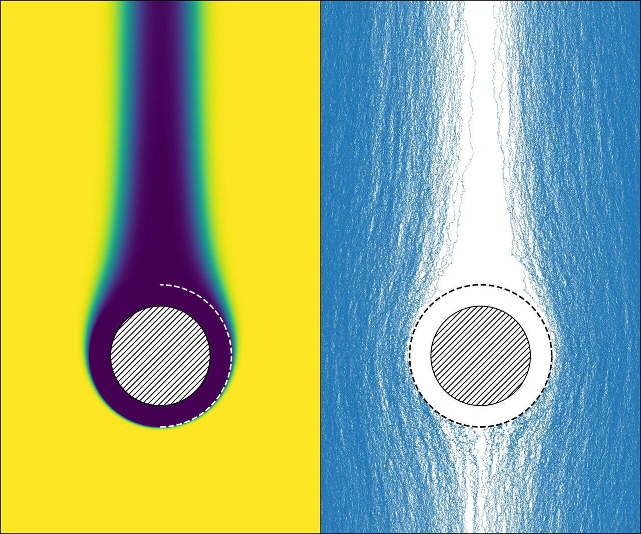 Physics in uncharted waters: The mysteries of marine snow
