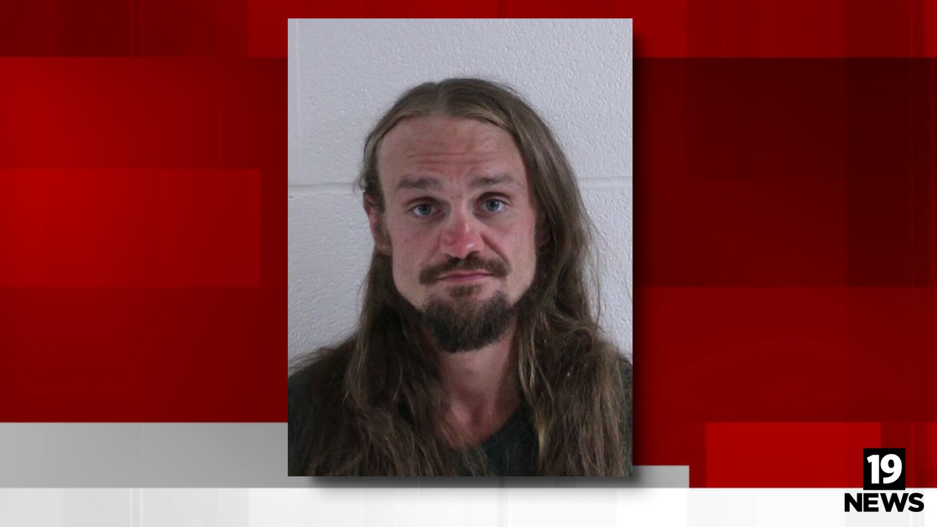 Wayne County man charged after allegedly stabbing sheriff, sergeant