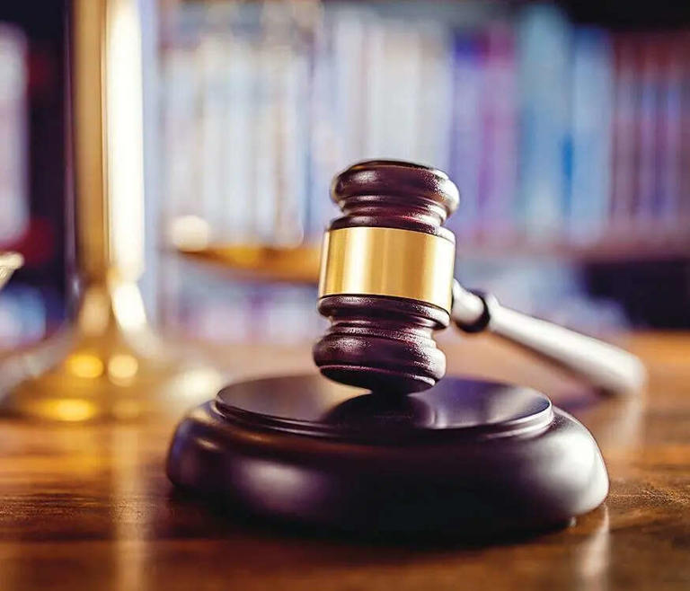 Delhi district court bar associations call off strike over pecuniary ...