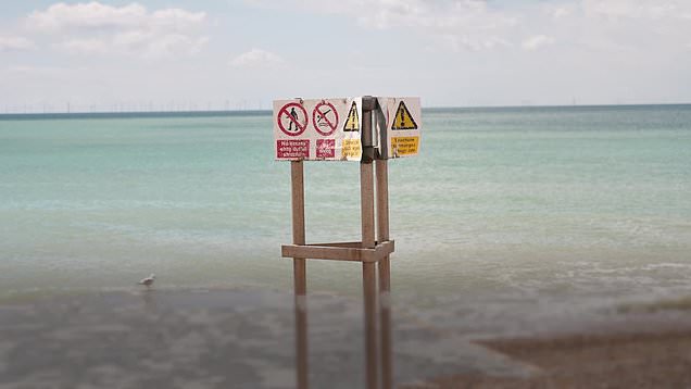 Police believe they have identified three women recovered off Brighton ...