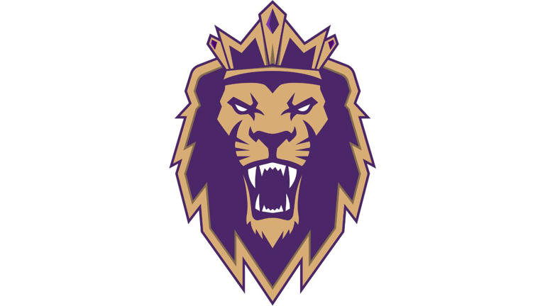 Mid-South Pro Hockey debuts new name for franchise team