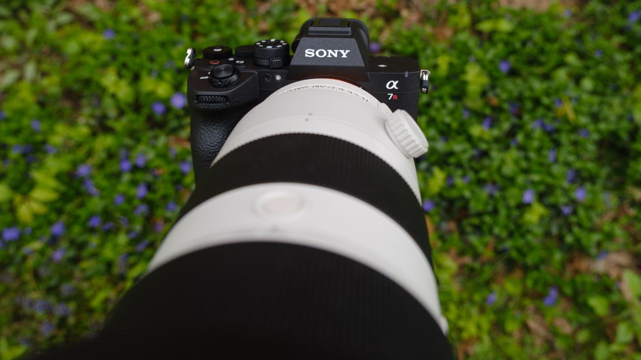 High res cameras are notoriously slow, but I just photographed wildlife ...