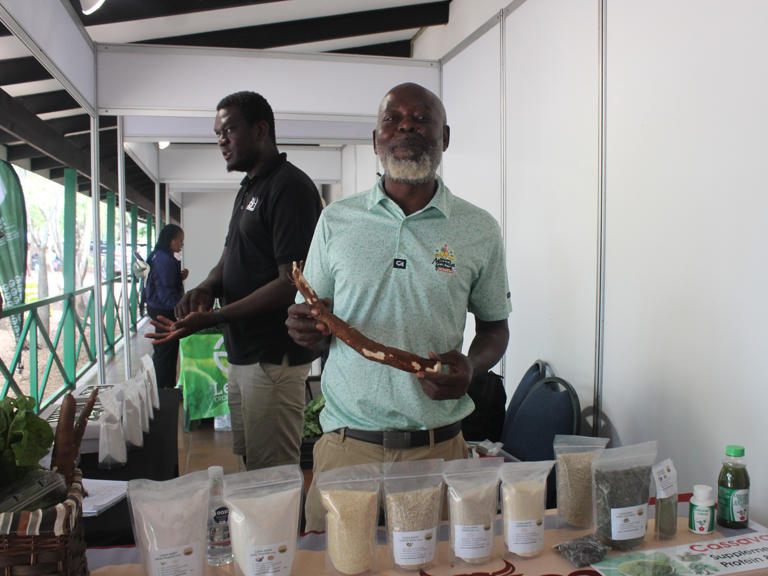 A crop that could replace maize meal is already on sale in Tzaneen