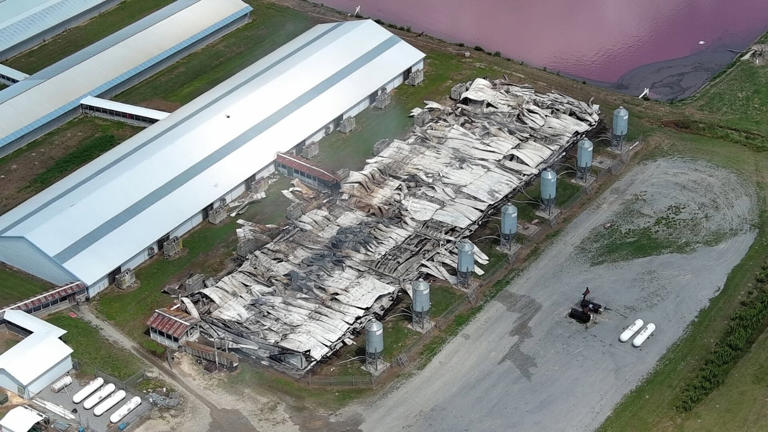 Greene County hog house a total loss after early morning fire