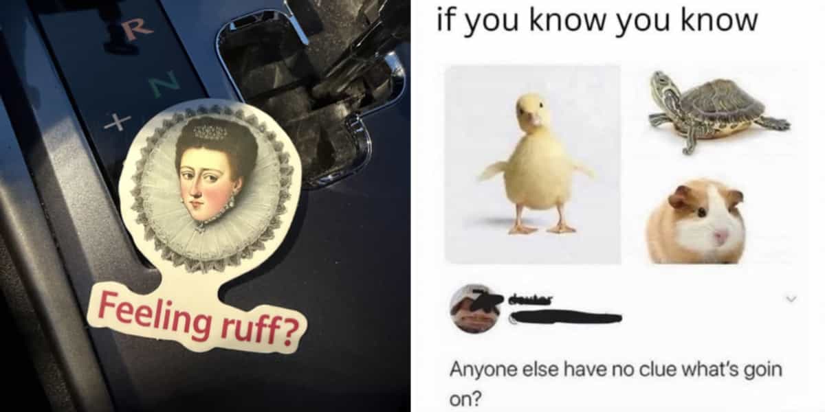 Confusing posts that needed someone to explain the joke this week