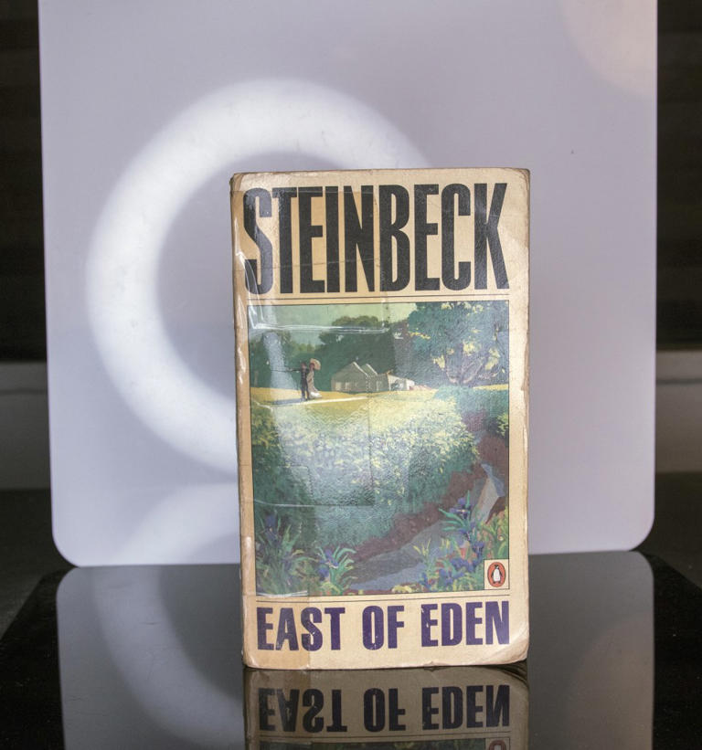 Netflix adaptation of epic California novel 'East of Eden' slammed for ...