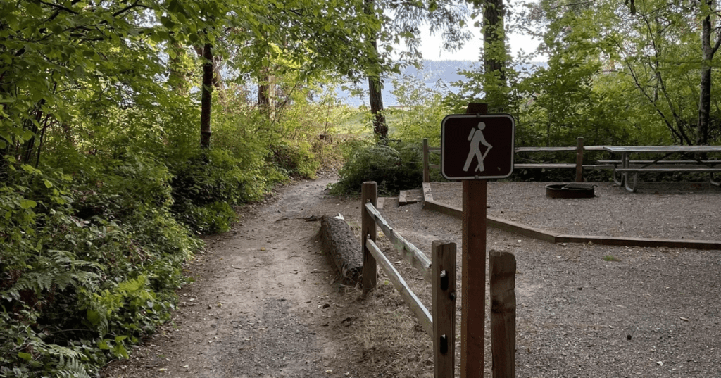 A well-maintained dirt trail winds through a green forest and around a picnic area at Washington's Belfair State Park.