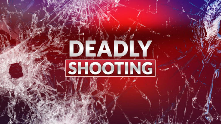 Woman arrested in deadly Johnstown shooting investigation