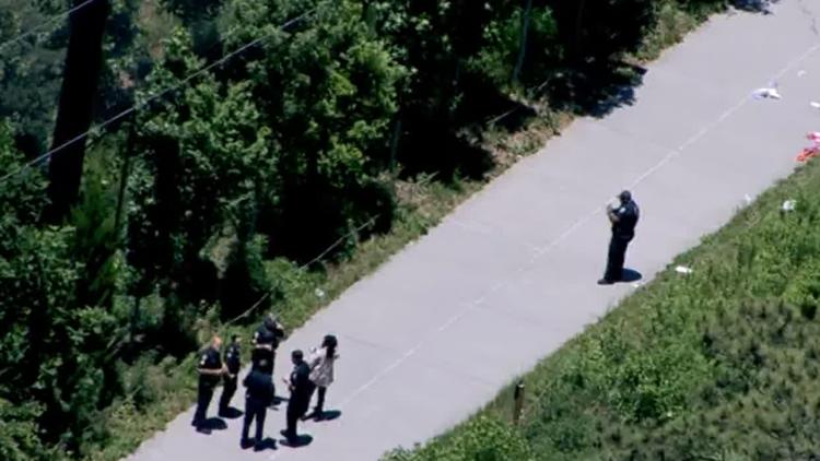 Police release dramatic arrest video of Beltline stabbing suspect, who ...