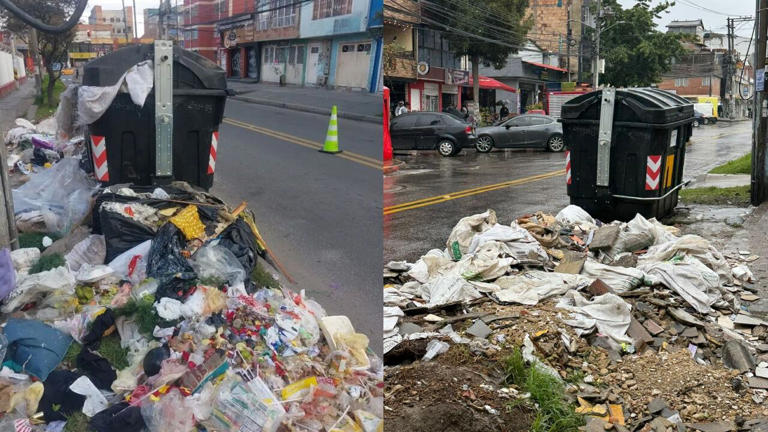 Plaga de ratas en 3 localidades de Bogotá: “No puede sola”, llamado a ...