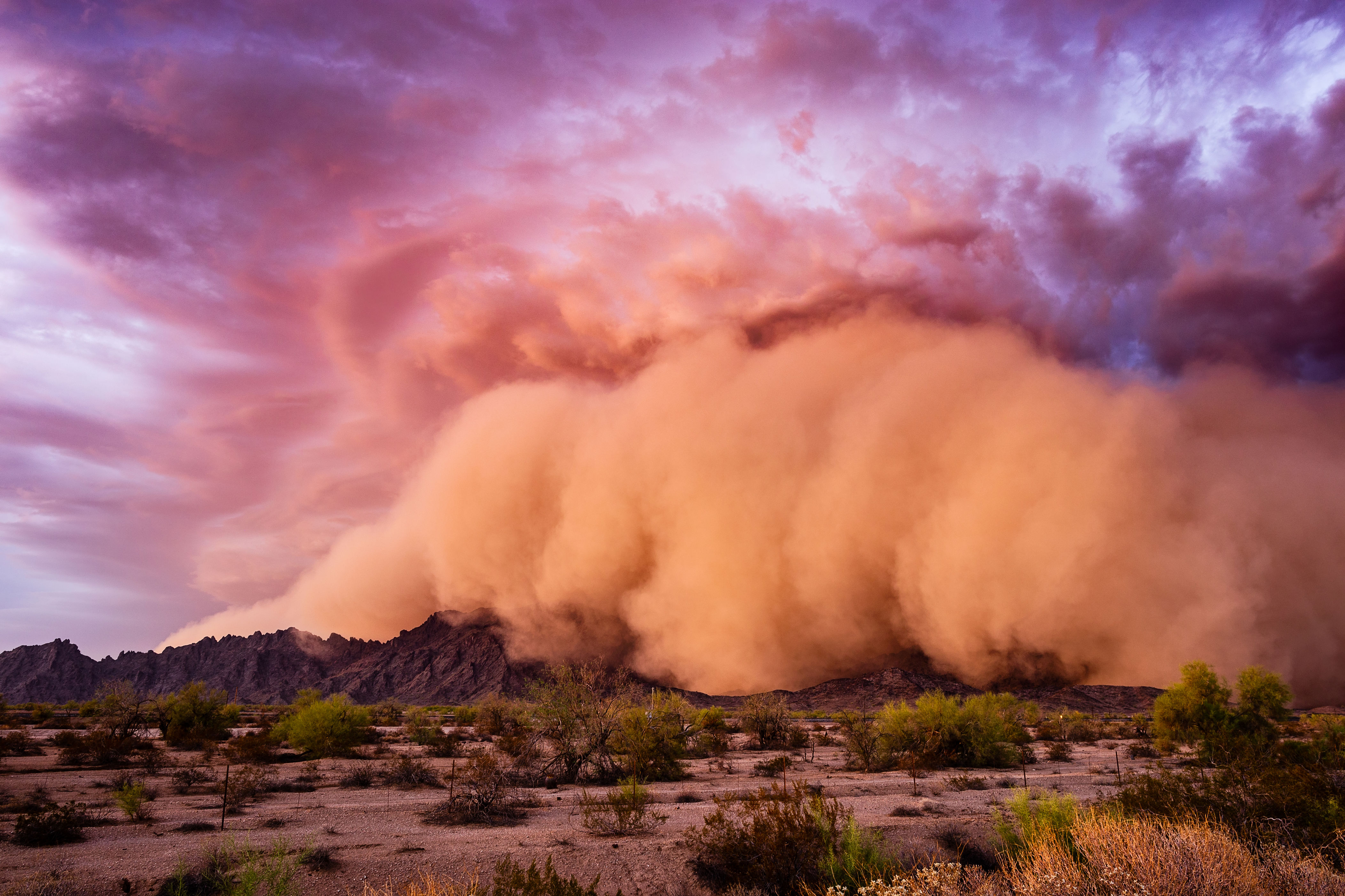 Watch: Dust storm closes highway, warnings issued