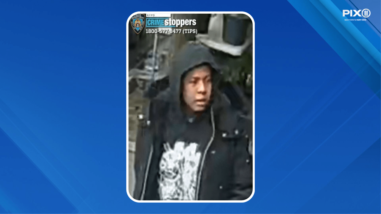 Suspect sought after woman almost raped in Bronx elevator: NYPD
