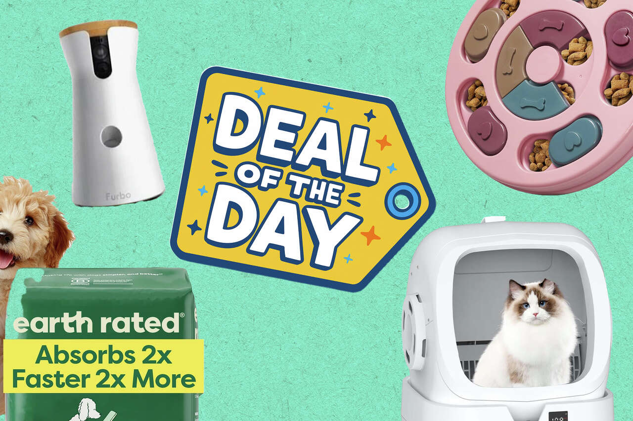 We found 30 actually good deals in Amazon's Pet Day sale