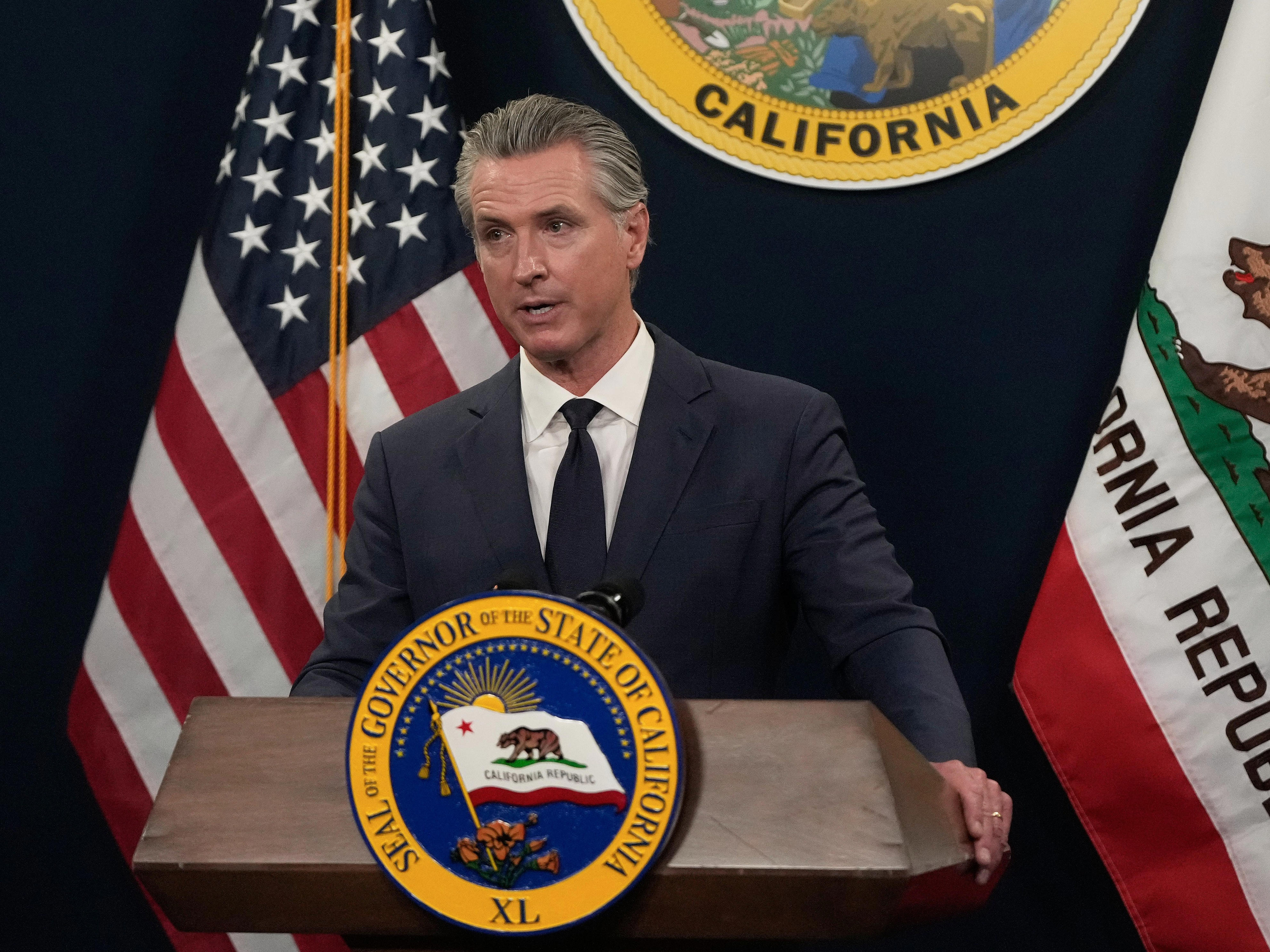 Gavin Newsom proposes a California digital software tax