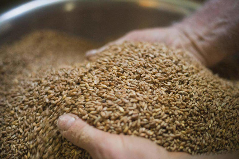 Heritage grains are back. Here's how to use them in everyday cooking