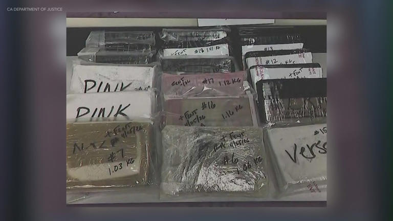17 kilos of fentanyl worth $1.3 million seized, 1 arrested in major LA ...