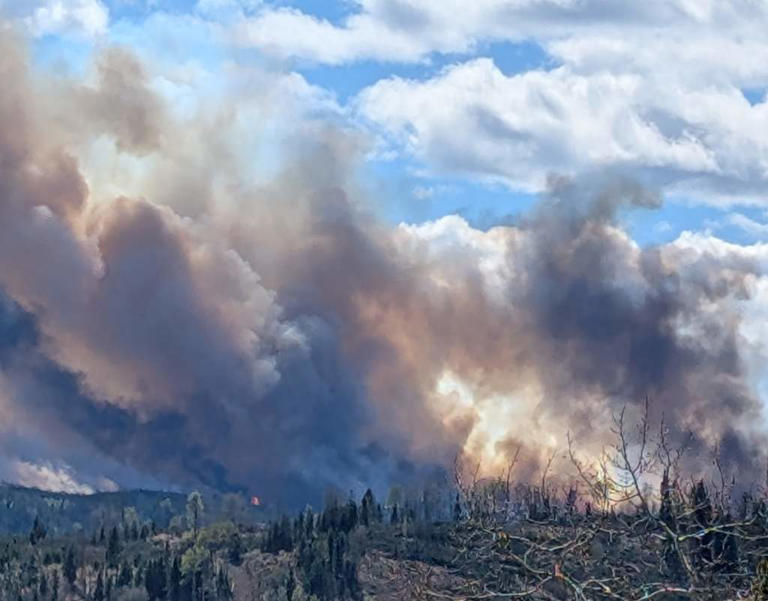 Evacuation alert issued due to out-of-control wildfire near Sundre