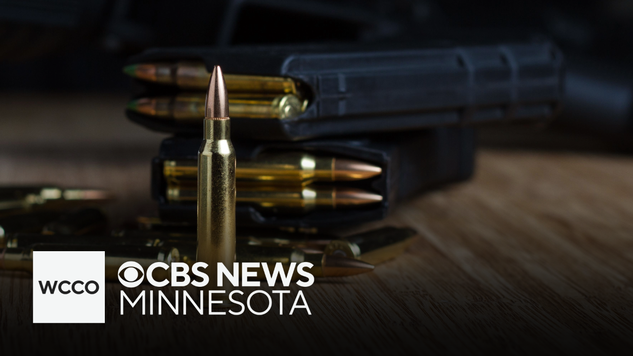 Despite end-of-session deal, debate over gun laws continues