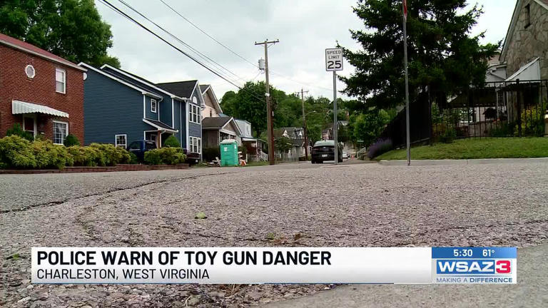 Police warn of toy gun danger