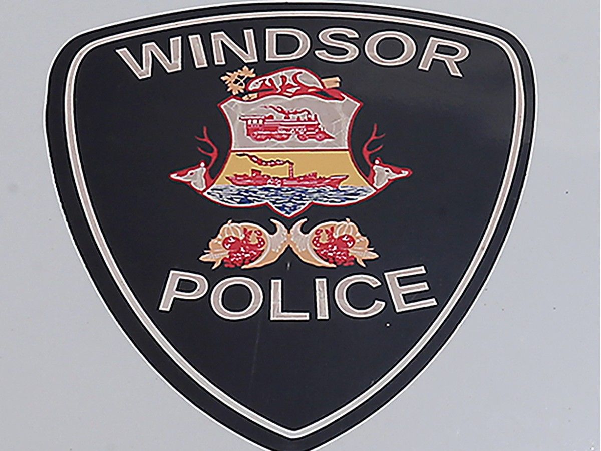 Windsor police arrest suspect after break-in, identity fraud