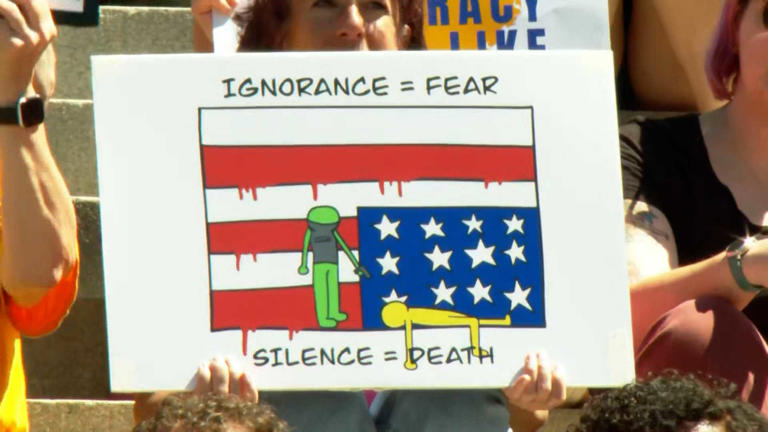Protesters rally on Statehouse steps to oppose redistricting in South ...