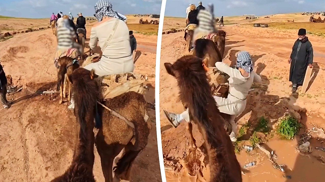 Camel ride takes messy turn in a puddle in the middle of the desert