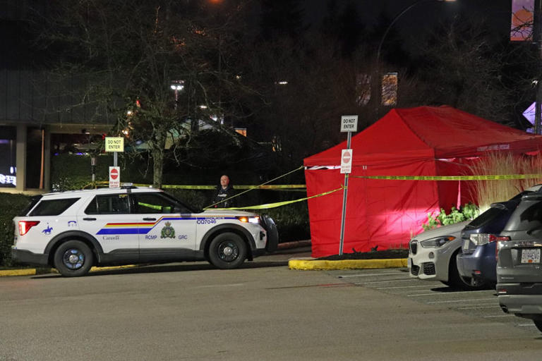 Man pleads guilty to manslaughter after deadly bar fight in Coquitlam