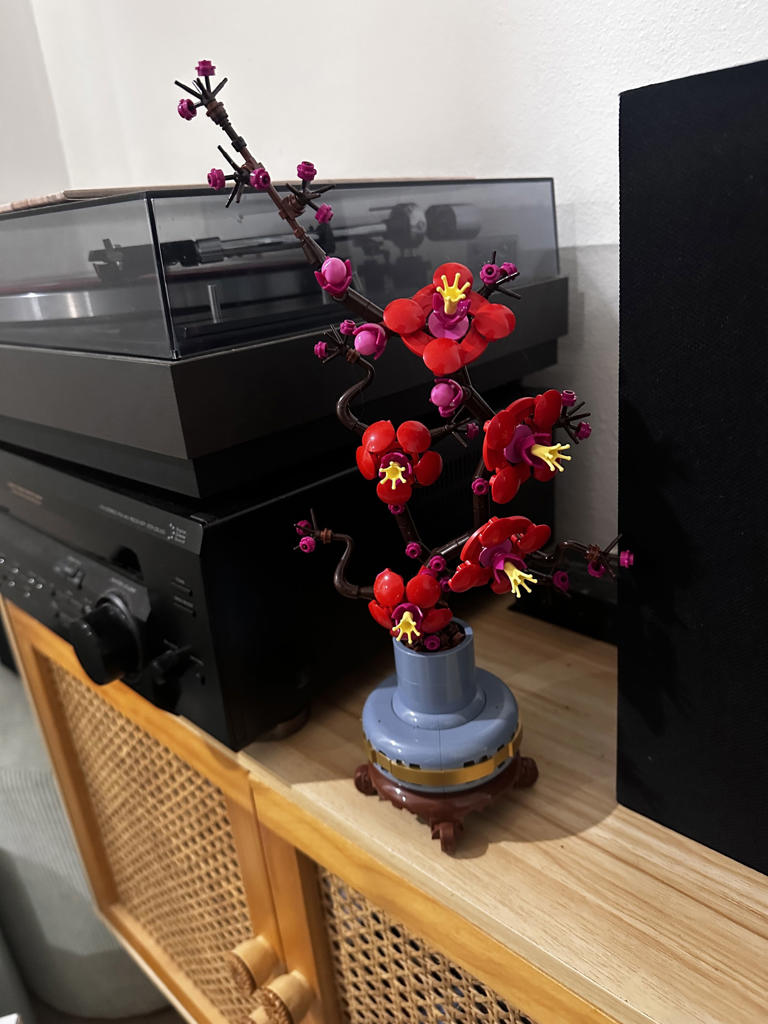 The cost of my favourite hobby got out of hand until I found a simple ...