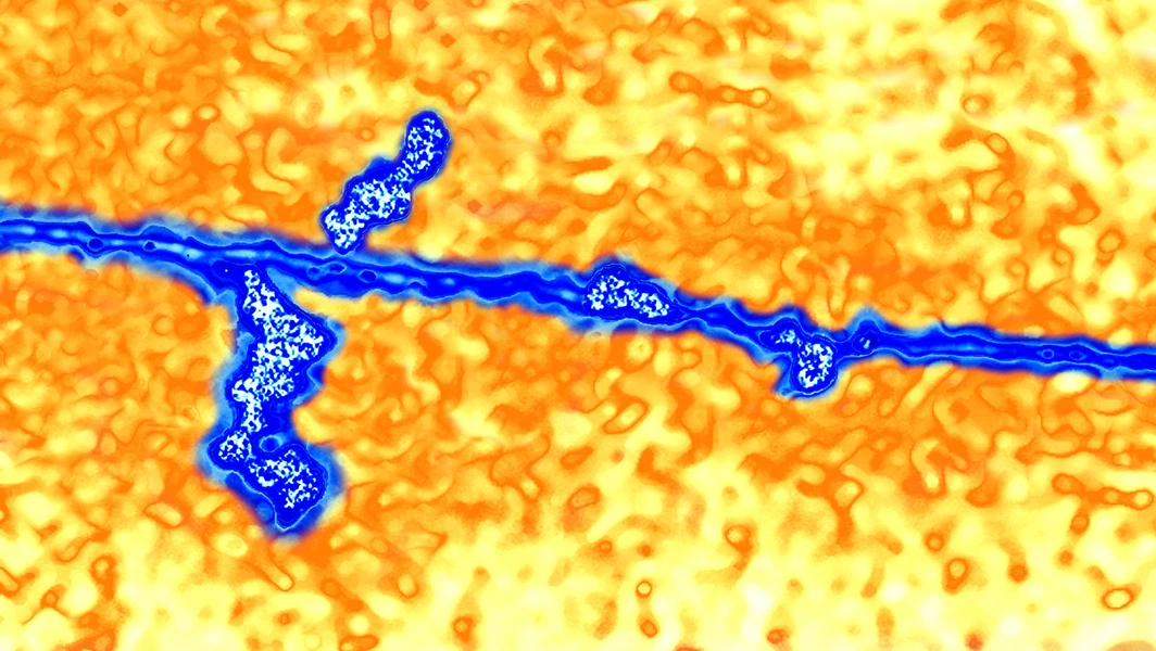 Illustration of Intuitive Dna Immune Activation