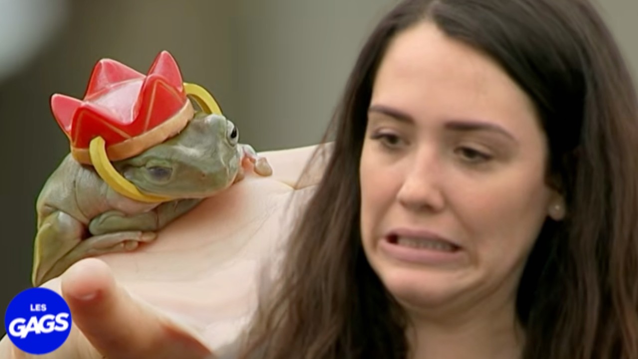 Un bisou et elle a trouvé l’amour | Juste pour rire les gags