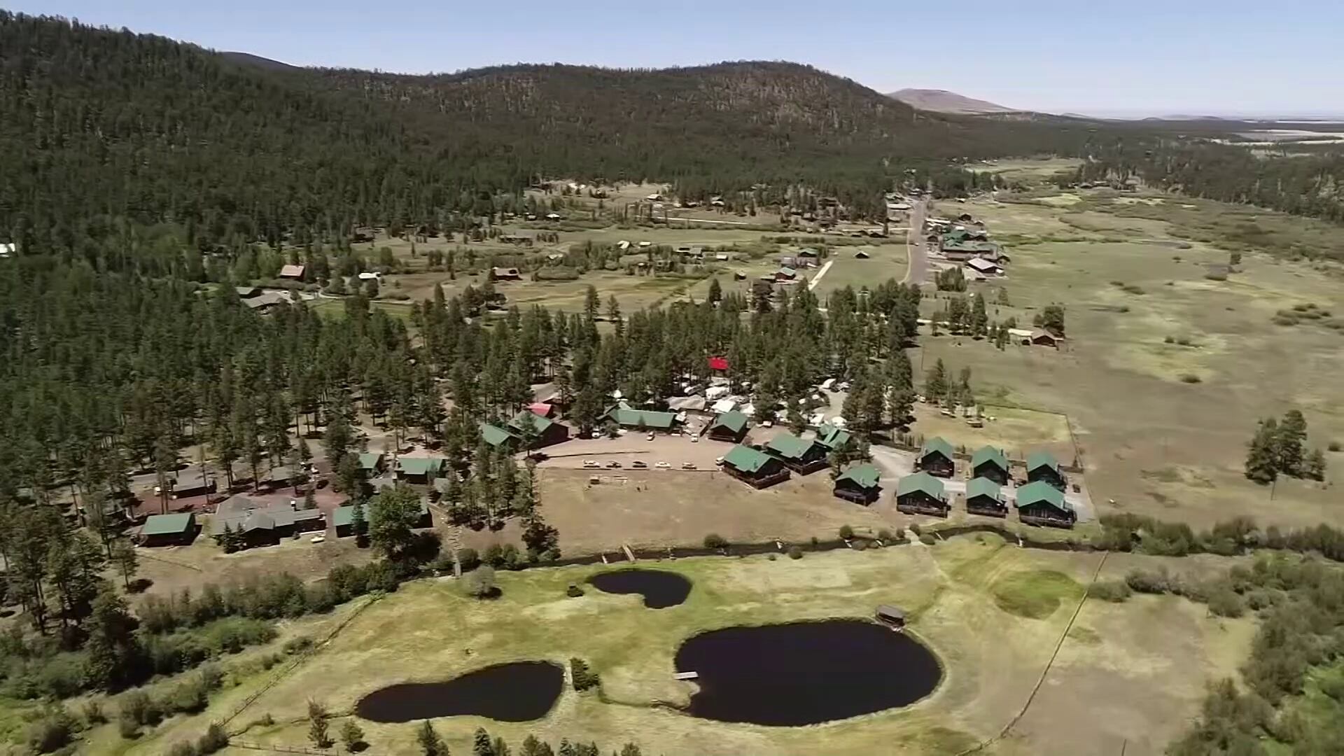 Arizona businesses impacted by Greer Fire hoping for bounce-back summer