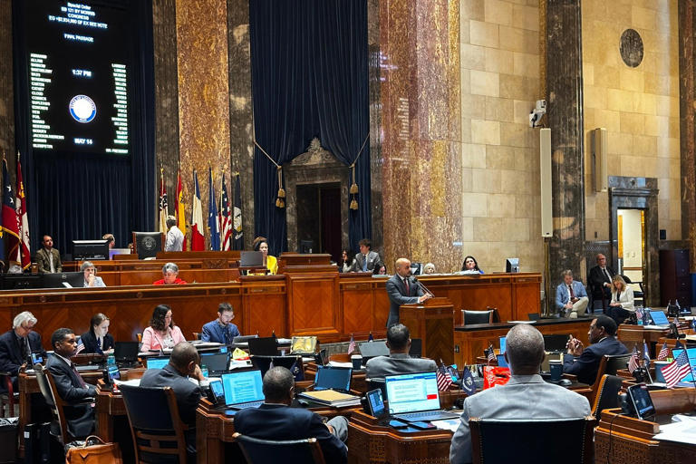 Louisiana senators pass new US House map while South Carolina plans for ...