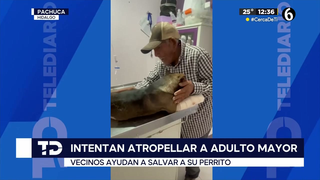 Conductor intenta atropellar a adulto mayor y arrolla a su perro en ...