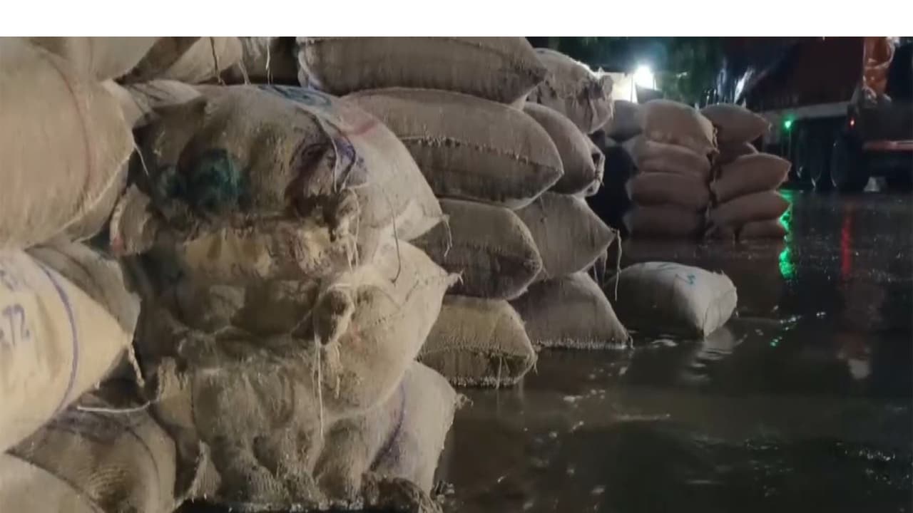 Ajmer farmers in distress as unseasonal rain ruins crops at mandi