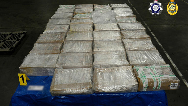 Cocaine hidden in fruit pulp found by Australian Federal Police at ...