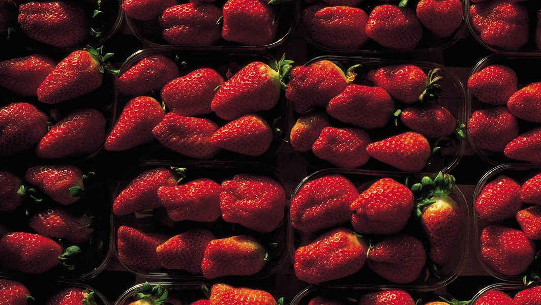 PFAS-linked pesticides found in Driscoll's strawberries, report says