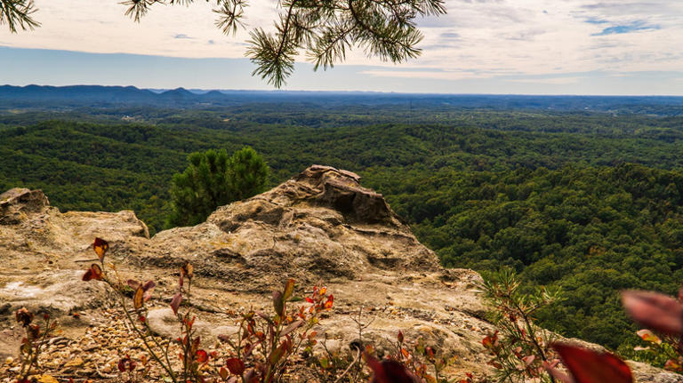 Skip Great Smoky Mountains - Try This Quieter National Forest