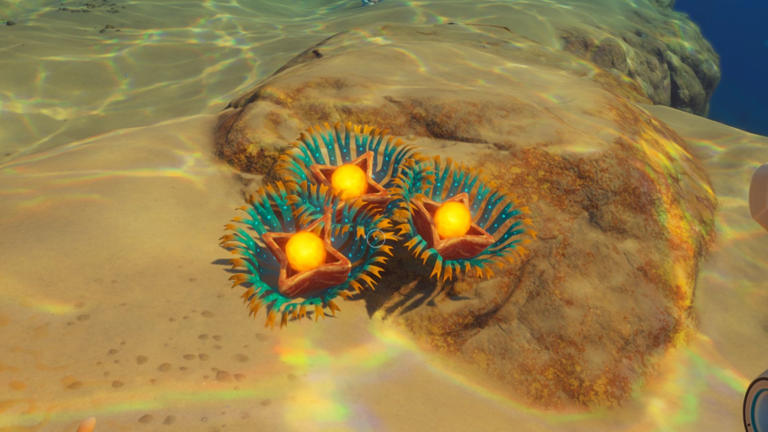 Rubber & Lucifer Rotsac location in Subnautica 2