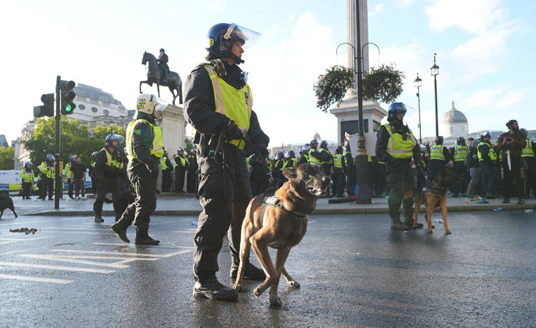 What you need to know about Saturday's protests