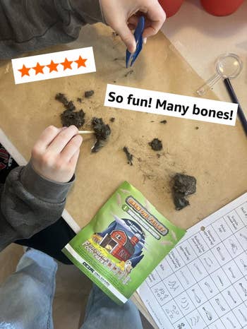 Hands dissecting owl pellets with a small tool, surrounded by worksheet and toy farm set packaging. Text reads,