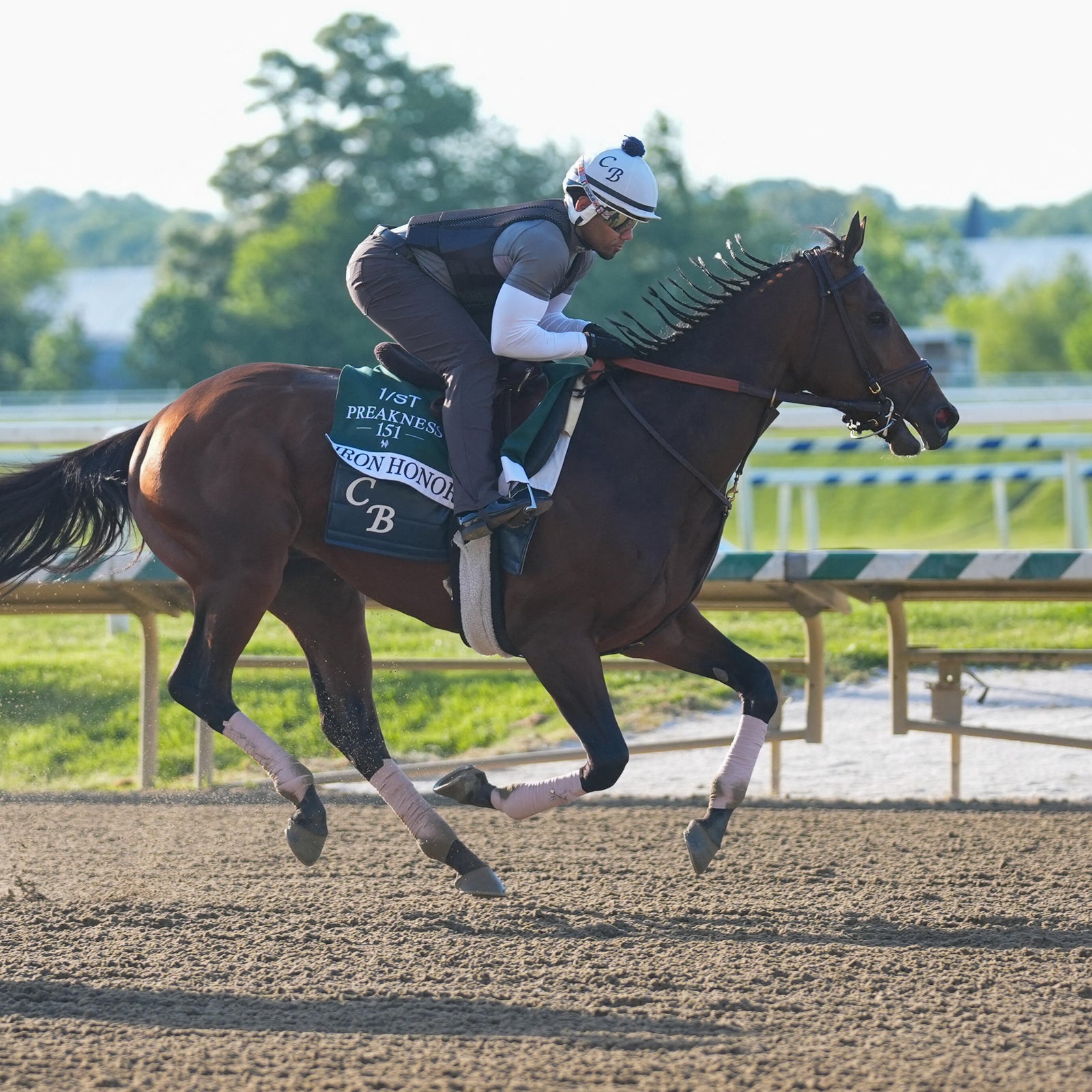 Meet the horses running in the Preakness Stakes