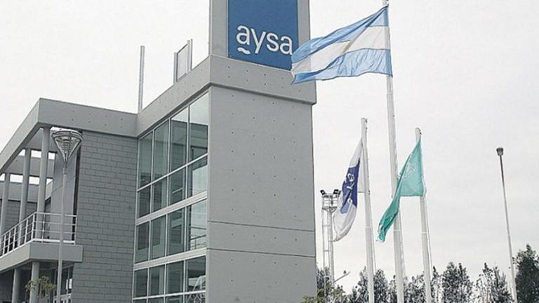 Privatización de AySA: el Gobierno publicó los pliegos de la licitación ...