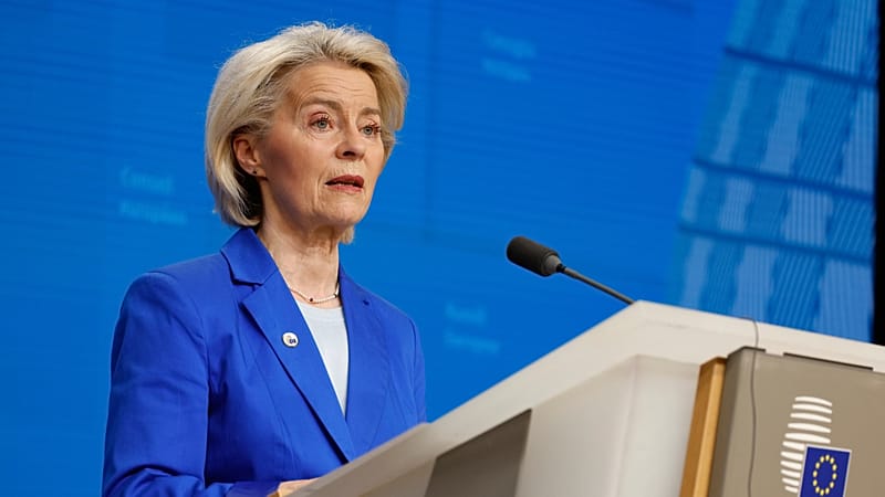 Could the EU's next budget shrink civil society and NGOs?