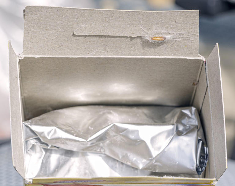 Bugs can get in your home through packages—pros share what to check ...