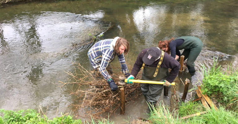 The hidden work funded by your rod licence