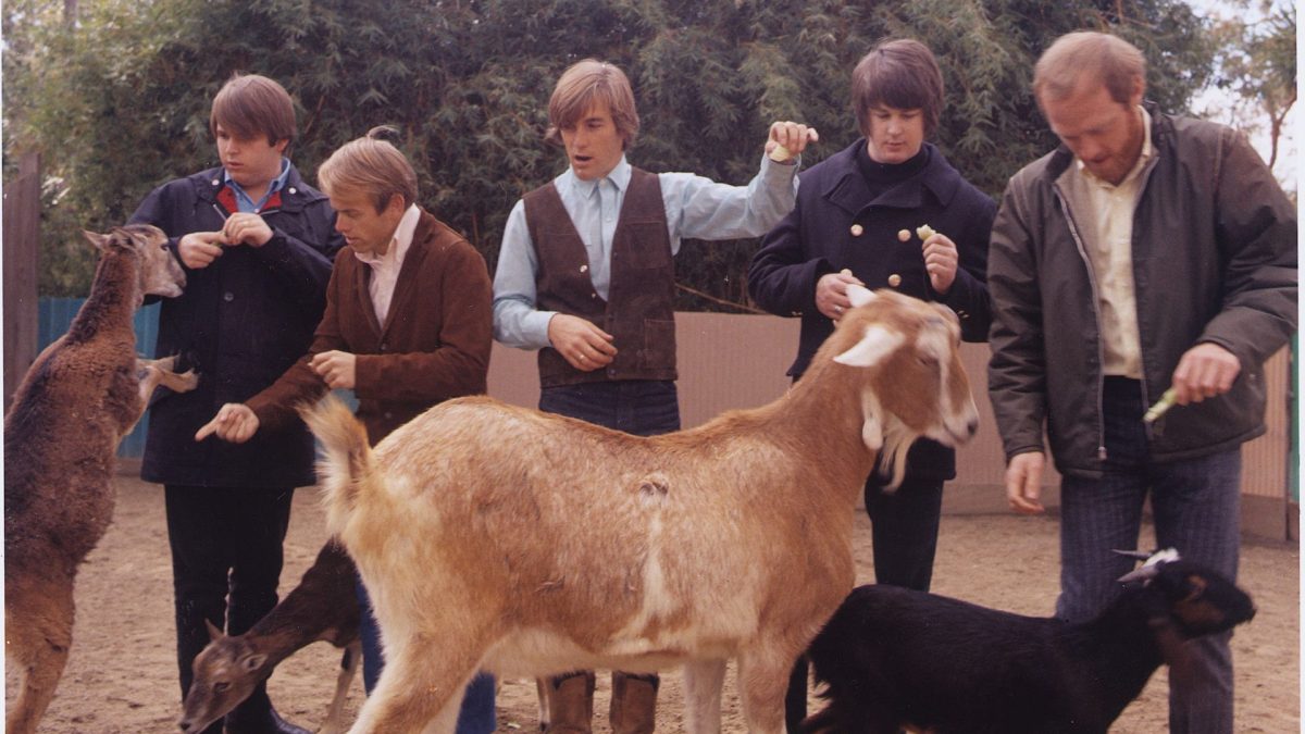 ‘I have no relationship with Mike Love': The Beach Boys on Pet Sounds at 60