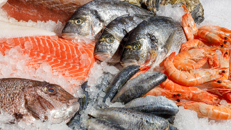 The premium fish that isn't worth the price