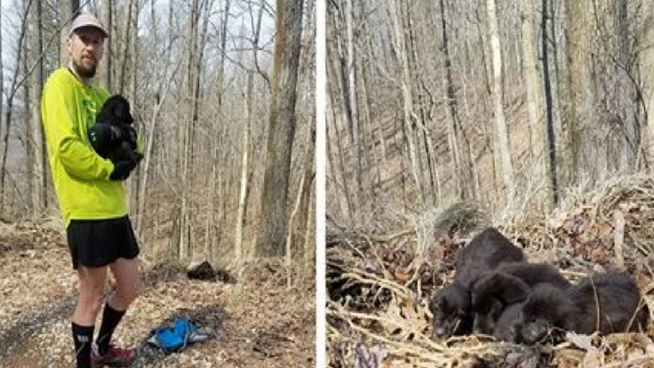 Runners hear something rustling in the woods, end up saving 5 tiny lives