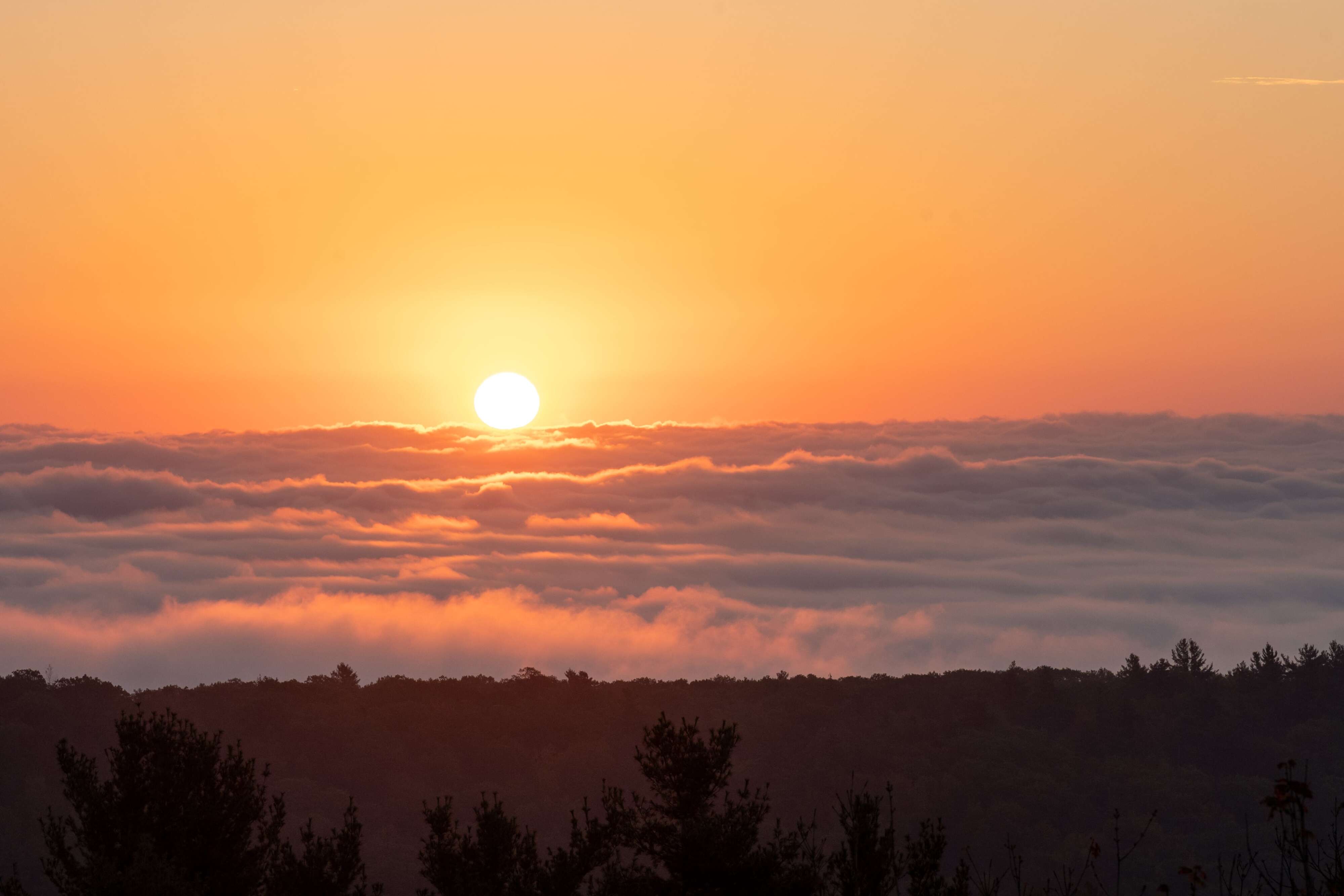 Mass. weather: Warm, sunny weekend incoming, with temps to break 90 ...
